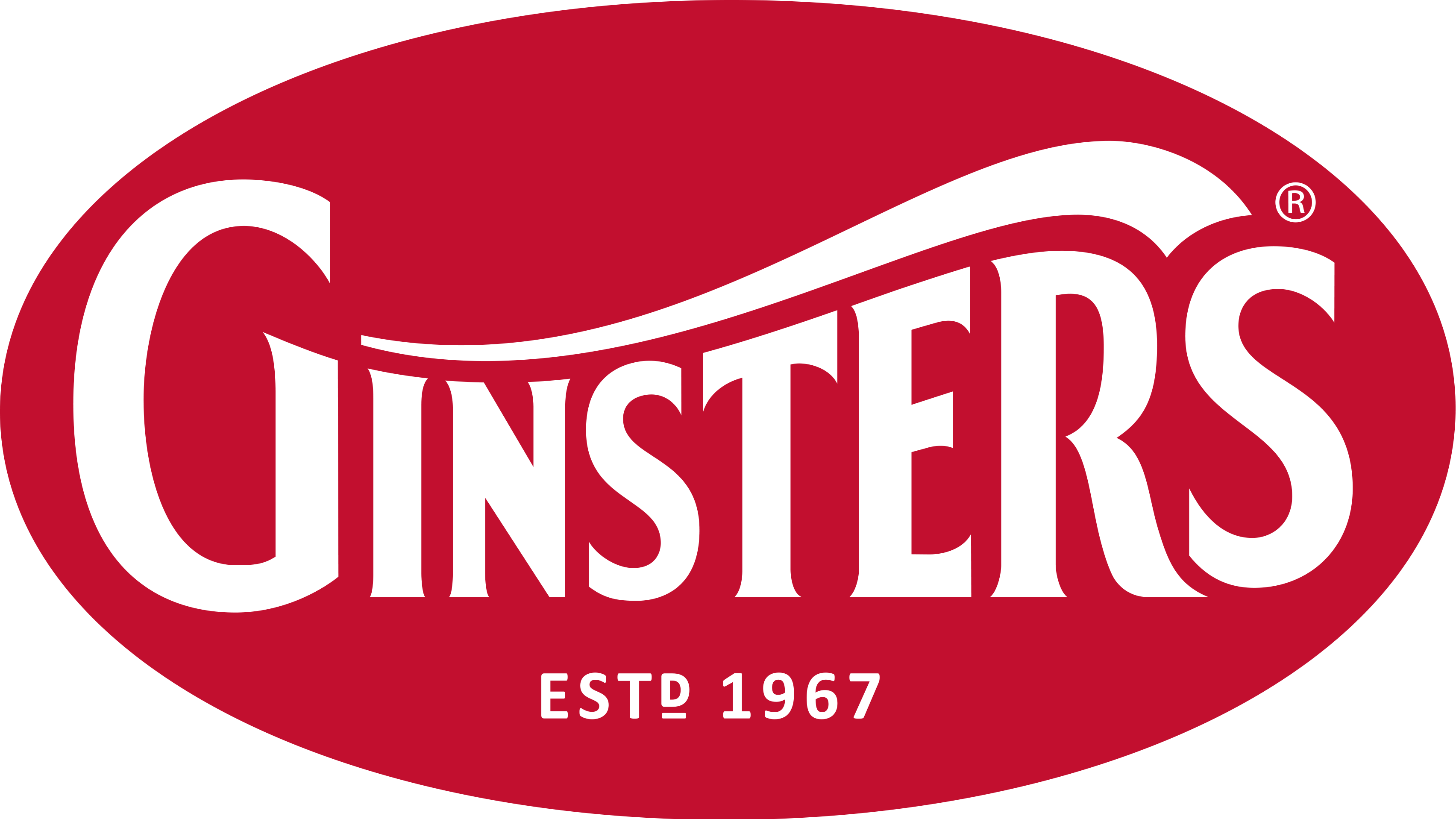 GINSTERS LOGO